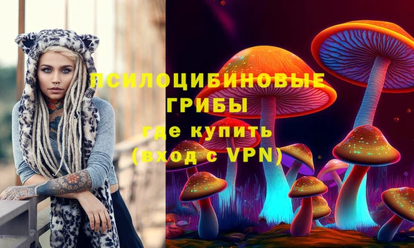 прущий лед Няндома