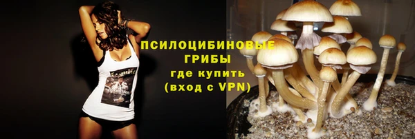 ГАЛЛЮЦИНОГЕННЫЕ ГРИБЫ Нягань