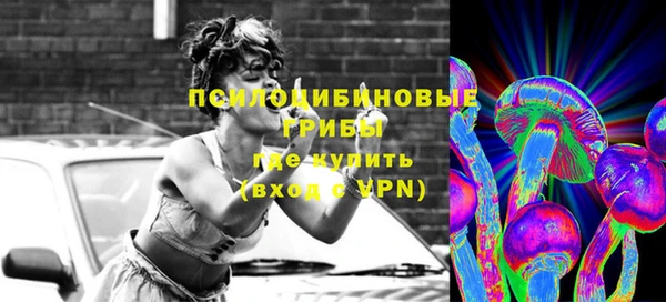 ГАЛЛЮЦИНОГЕННЫЕ ГРИБЫ Нягань