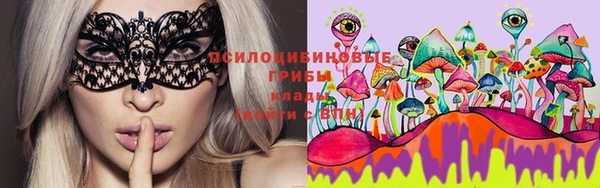 прущий лед Няндома