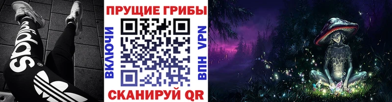 Галлюциногенные грибы мухоморы  Котово 